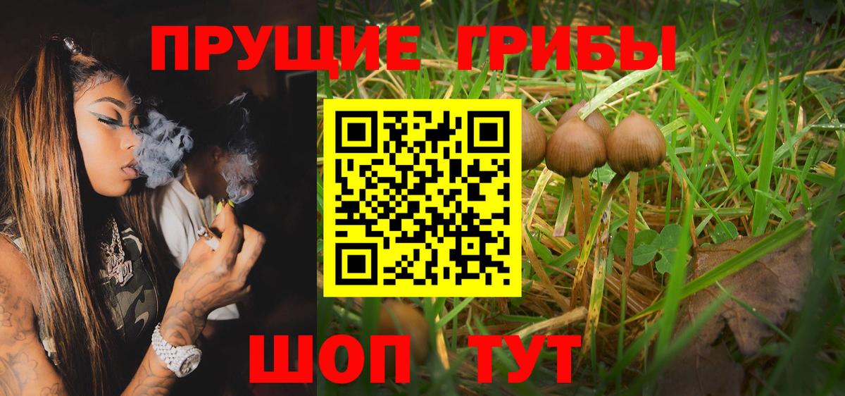 Алексеевка  Галлюциногенные грибы MAGIC MUSHROOMS  Вход с VPN  Галлюциногенные грибы мухоморы 